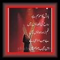 Bareesh 01bre * 22.11.2010 * 254 x 770 * (49KB)